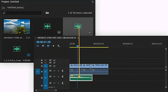 Add Audio to Video Adobe