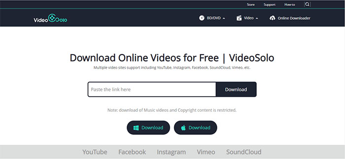 VideoSolo Online Downloader site web
