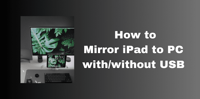 Mirror iPad to PC