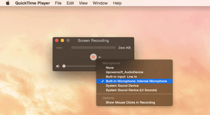 Customize the Recording Settings